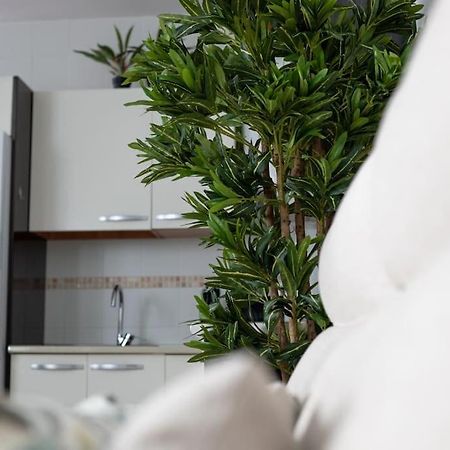 Trinidad Aparment Lejlighed Málaga Eksteriør billede